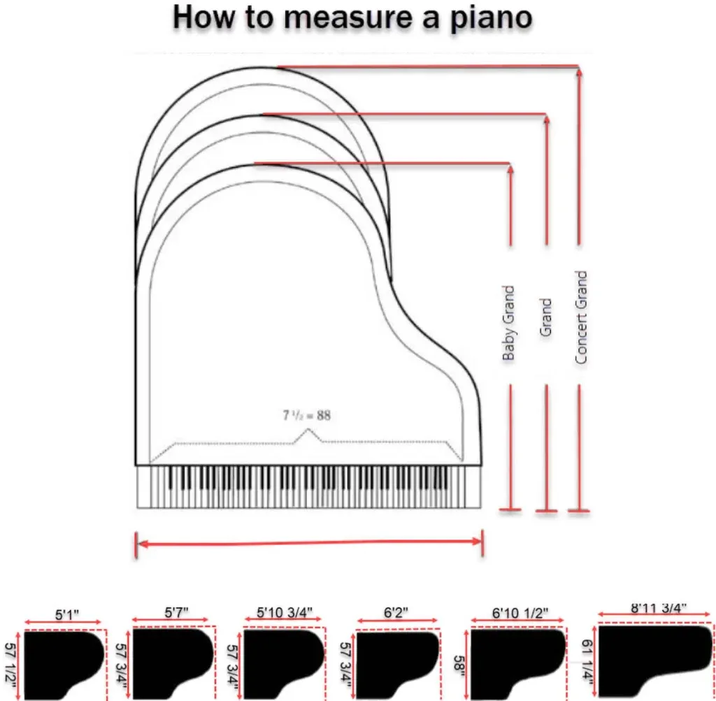 muscleman-elite-piano-movers-team.webp